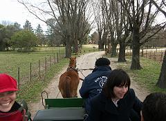 090809_San_Ceferino 004